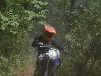 DSC 0494