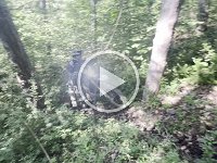 IMG 9142