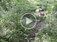IMG 9145
