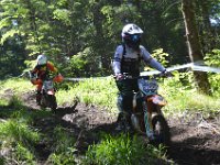 DSC 0214